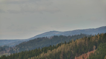 Ski areál U Sachovy studánky