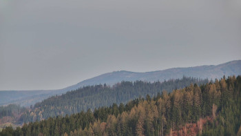 Ski areál U Sachovy studánky