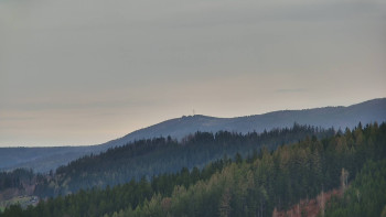 Ski areál U Sachovy studánky