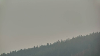 Ski areál U Sachovy studánky