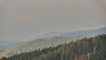 Ski areál U Sachovy studánky