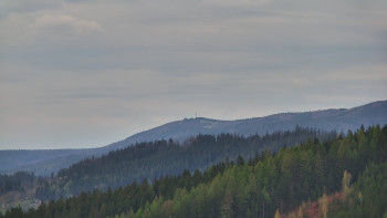 Ski areál U Sachovy studánky