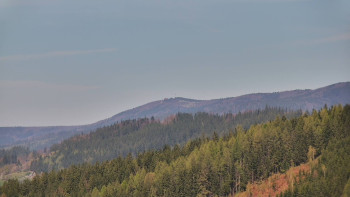 Ski areál U Sachovy studánky