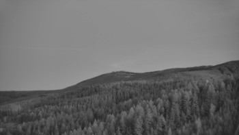 Ski areál U Sachovy studánky