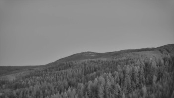 Ski areál U Sachovy studánky