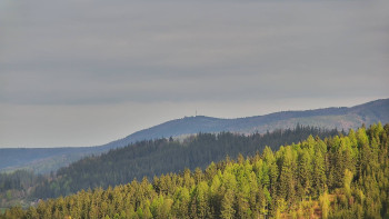 Ski areál U Sachovy studánky