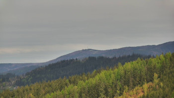 Ski areál U Sachovy studánky