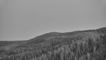Ski areál U Sachovy studánky