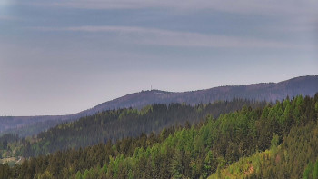 Ski areál U Sachovy studánky