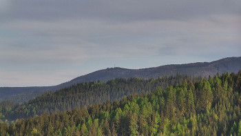 Ski areál U Sachovy studánky