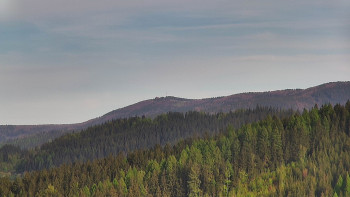 Ski areál U Sachovy studánky