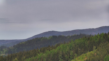 Ski areál U Sachovy studánky