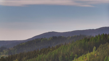 Ski areál U Sachovy studánky