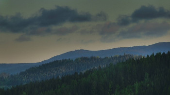 Ski areál U Sachovy studánky