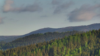 Ski areál U Sachovy studánky