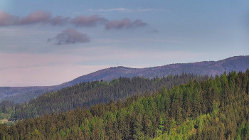 Ski areál U Sachovy studánky