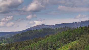 Ski areál U Sachovy studánky