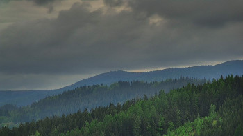 Ski areál U Sachovy studánky