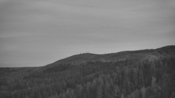 Ski areál U Sachovy studánky