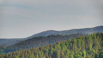 Ski areál U Sachovy studánky
