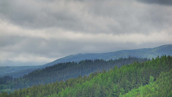 Ski areál U Sachovy studánky