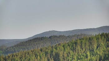 Ski areál U Sachovy studánky