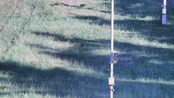 Ski areál U Sachovy studánky