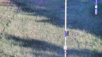 Ski areál U Sachovy studánky