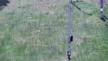 Ski areál U Sachovy studánky