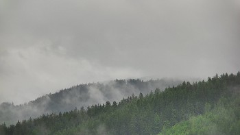 Ski areál U Sachovy studánky
