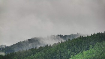 Ski areál U Sachovy studánky