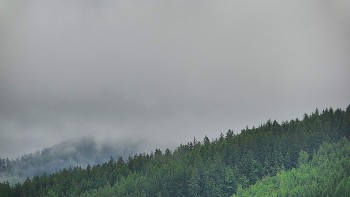 Ski areál U Sachovy studánky