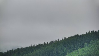 Ski areál U Sachovy studánky