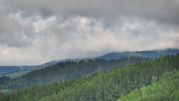 Ski areál U Sachovy studánky