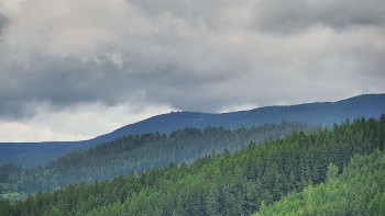 Ski areál U Sachovy studánky
