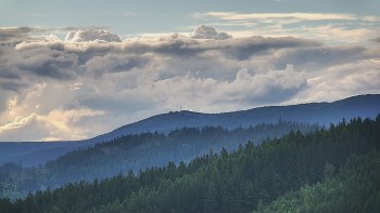 Ski areál U Sachovy studánky
