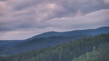 Ski areál U Sachovy studánky