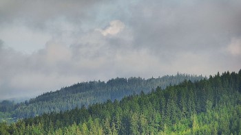 Ski areál U Sachovy studánky