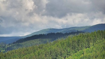 Ski areál U Sachovy studánky