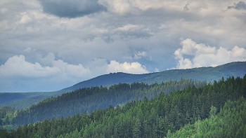 Ski areál U Sachovy studánky