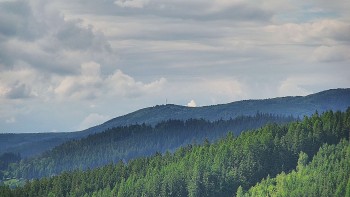 Ski areál U Sachovy studánky