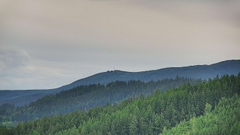 Ski areál U Sachovy studánky