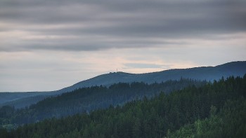 Ski areál U Sachovy studánky