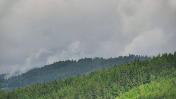 Ski areál U Sachovy studánky