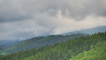Ski areál U Sachovy studánky