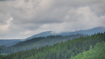 Ski areál U Sachovy studánky
