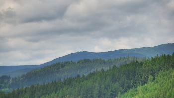 Ski areál U Sachovy studánky