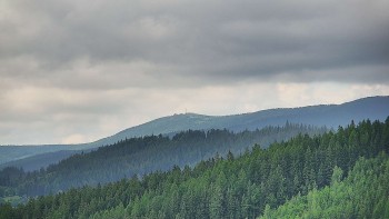 Ski areál U Sachovy studánky