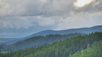 Ski areál U Sachovy studánky