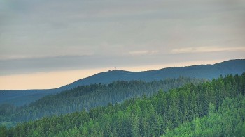 Ski areál U Sachovy studánky